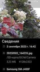Screenshot_20230902-164337_Gallery.thumb.jpg.2a04b4b0ddc86cdeb2f026dc7fc51f1a.jpg
