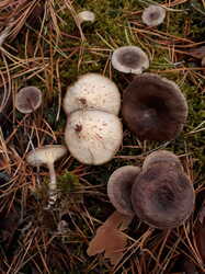 20231022_123858.jpg