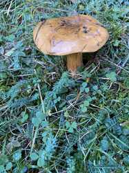 IMG_8792.jpeg