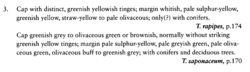 2024-04-06 22_43_55-Christensen, Heilman-Clausen, 2013 The genus Tricholoma.pdf - Adobe Acrobat Read.png