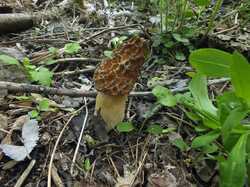 DSCF8024.thumb.JPG.0b89c9a543dfac4e1f48497df9437501.JPG