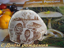 Ganoderma_applanatum_AWP_20131123.thumb.JPG.cd33d6135f928ffd901e1ea3d8ecc45e.JPG