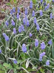 IMG_20240403_144751.jpg