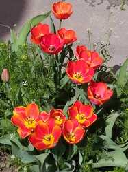 IMG_20240410_143656.jpg