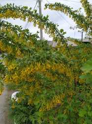 IMG_20240417_143504.jpg