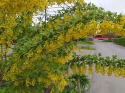 IMG_20240417_143514.jpg