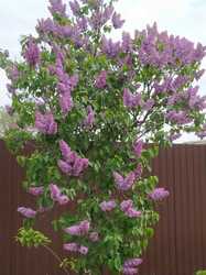 IMG_20240420_094354.jpg