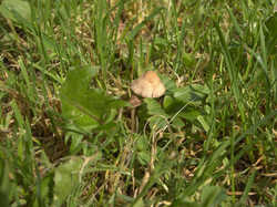 IMG_6345.thumb.jpg.92cb51b6da32645c9c17fdacc174be79.jpg