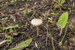 PANA9030.thumb.jpg.ae9a860edb477877a678904be68577f3.jpg