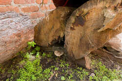PANA9070.thumb.jpg.f4d4eaf3eca2aaf7ef042aac3eb0a80c.jpg