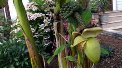 DSC09404.thumb.JPG.3dfdb4c00a72b54289f15fb75633ad98.JPG
