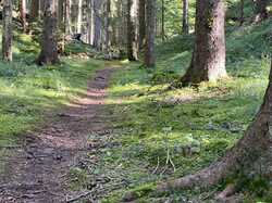 IMG_8044.jpeg