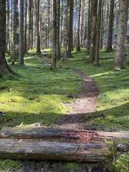 IMG_8064.jpeg