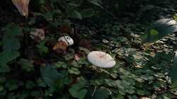 1462358972_21(2).thumb.jpg.2b0ff2328cf6454f1ab185da084af155.jpg