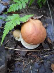 IMG-20240803-WA0003.jpg