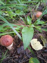 IMG-20240803-WA0010.jpg