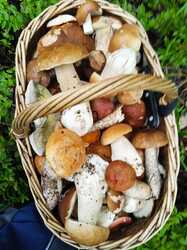 IMG-20240803-WA0014.jpg
