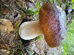 IMG-20240807-WA0000.jpg