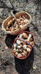 IMG-20240813-WA0044.jpg