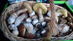 IMG-20240814-WA0032.jpeg