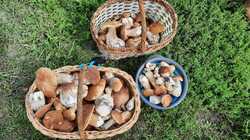 IMG-20240819-WA0028.jpg