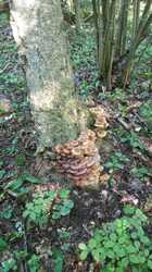 IMG-20240824-WA0025.jpeg