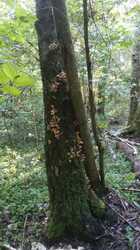 IMG-20240824-WA0027.jpeg