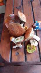 IMG-20240824-WA0065.jpeg