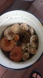 IMG-20240824-WA0079.jpeg