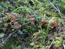 IMG_1028.jpeg