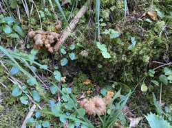 IMG_1032.jpeg