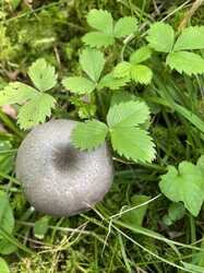 IMG_1043.jpeg