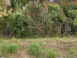 IMG_1076.jpeg