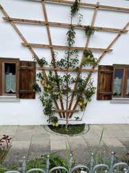 IMG_1088.jpeg