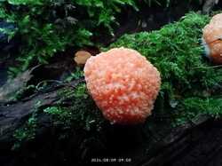 IMG_20240809_090854.jpg