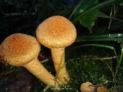 IMG_20240809_100130.jpg