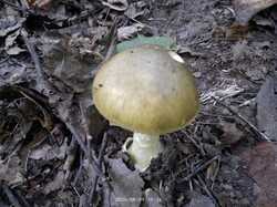 IMG_20240809_101657.jpg