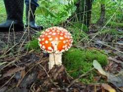 IMG_20240811_141024.jpg