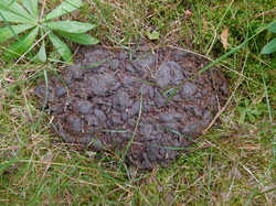 IMG_20240817_120124.jpg