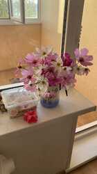 IMG-20240827-WA0006.thumb.jpg.c9864a7ad11d6d5e25a892f51a15619d.jpg