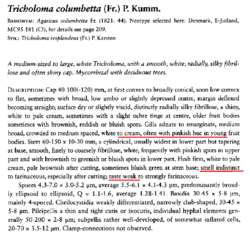 1447190873_2024-10-0814_19_23-ChristensenHeilman-Clausen2013ThegenusTricholoma.pdf-AdobeAcrobatRead.thumb.png.e179d2c76dc4dea2196d2cb3630482e2.png