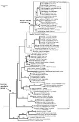 1623187674_2024-10-0814_44_09-Matheny_Inocybe_lilacina_REVISION_2018.pdf-AdobeAcrobatReader(64-bit).thumb.png.6d0a46f019474ba2df437658f4201306.png