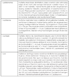 1638082457_2024-10-0814_12_46-Bandini-et-al-2022-MycologiaBavarica-NochmehrRisspilze3(2).pdf-AdobeAcrobatR.thumb.png.264e3441098c3a41f2142f0b19c00129.png