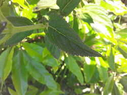 20241004_182633.jpg