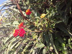20241004_182729.jpg