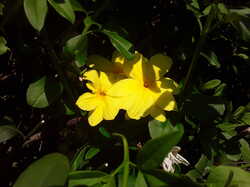 20241004_183437.thumb.jpg.c9664b79cb471af7502a82d55dd199f9.jpg