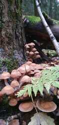 20241013_073805.jpg