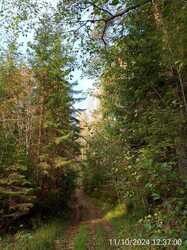 IMG-20241011-WA0013.jpg