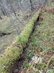 IMG-20241016-WA0013.jpg