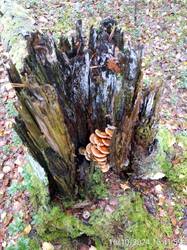 IMG-20241016-WA0020.jpg